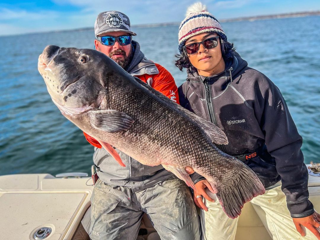 Rhode Island Record Tautog: Story and Video