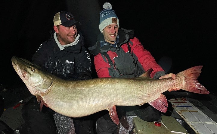 Massive State Record Muskie Boated in Minnesota