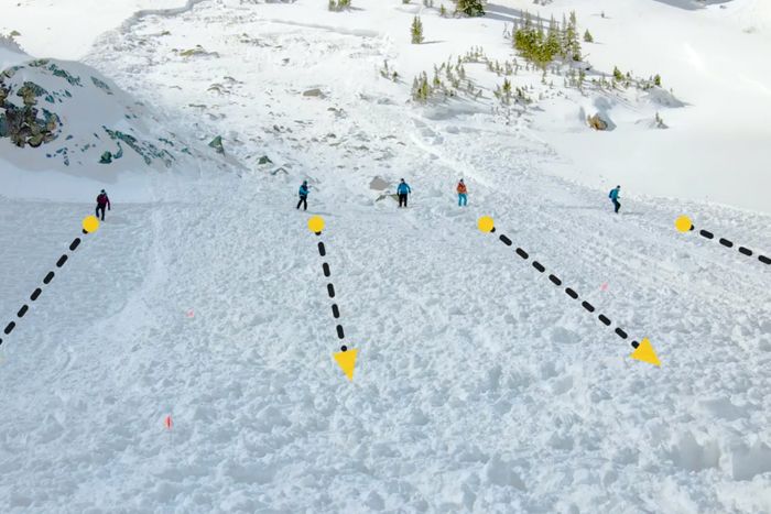 Avalanche rescue techniques: How to Group Search with your backcountry partners