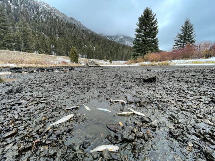 Equipment Failure Puts Madison River in Dire Situation