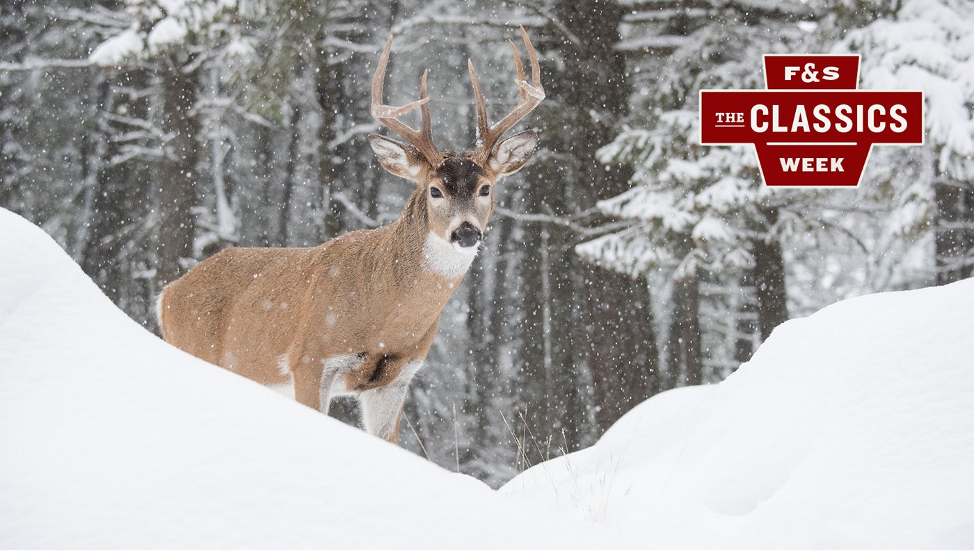 Why Snow Tracking Is Still the Best Way to Hunt Deer