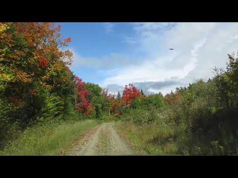 New Hampshire Foliage September 2021