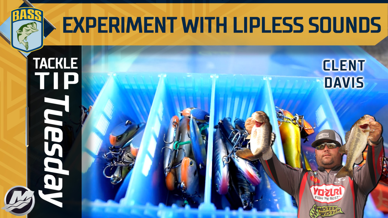 Tackle Tip Tuesday: Experimenting with lipless lures