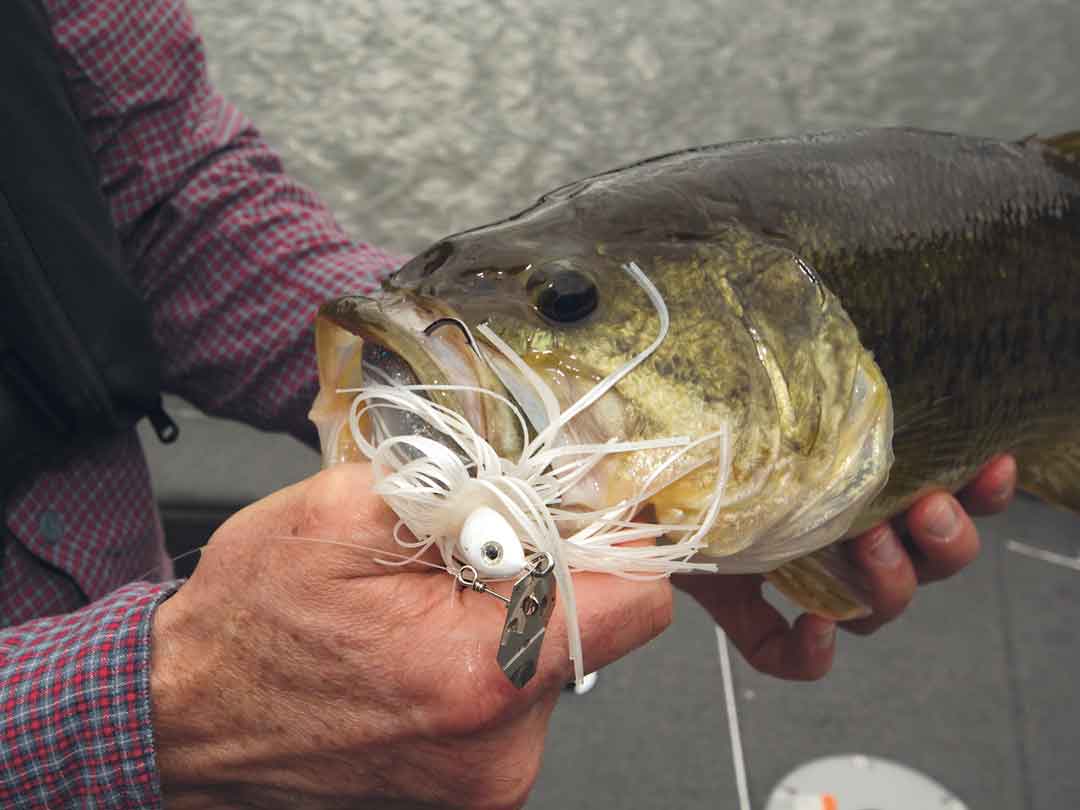 Bladed Swim Jigs for Cold-Water Bass