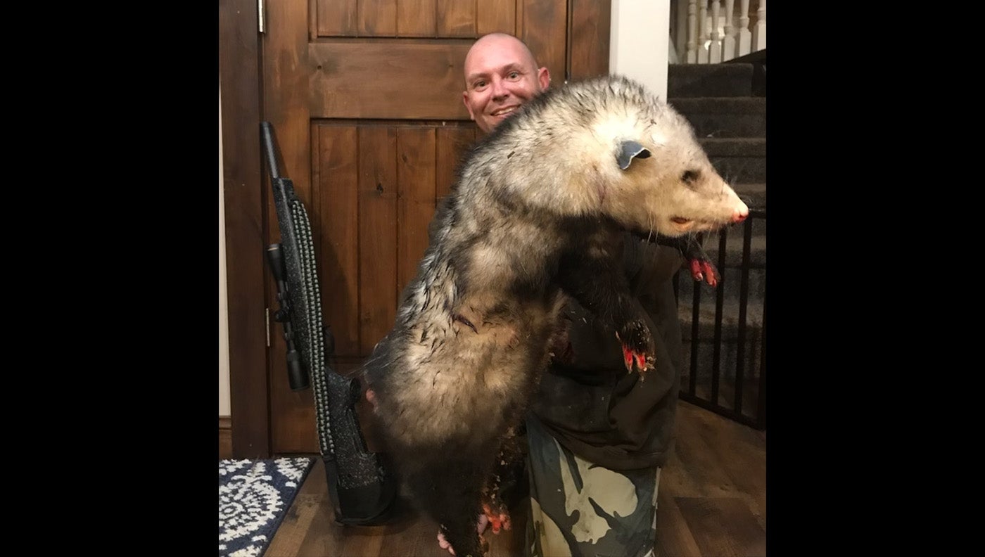 Minnesota Man Shoots 14-Pound Jumbo Opossum