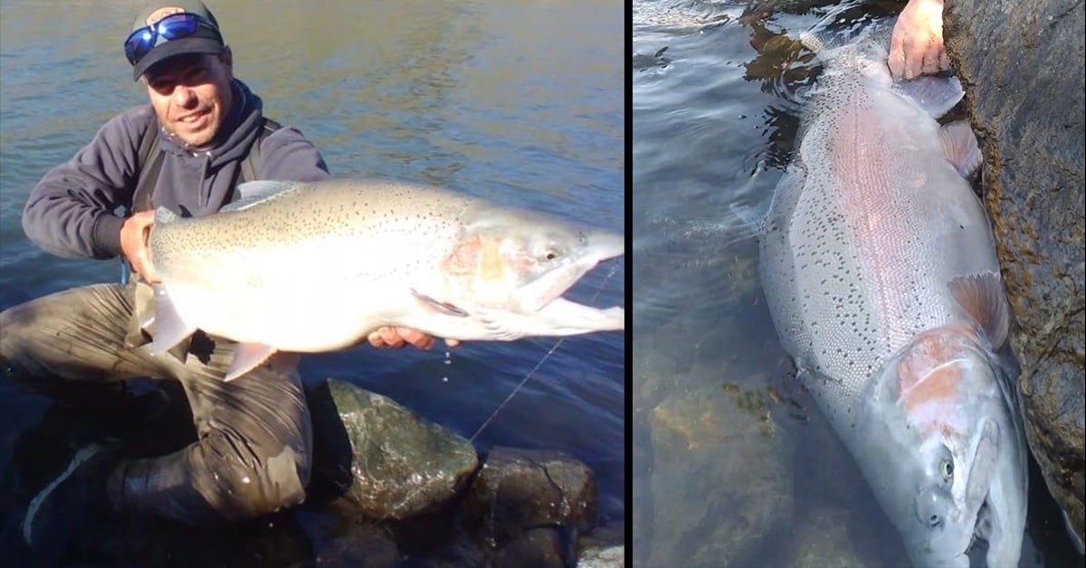 Record Size 38-Pound Rainbow Trout Caught in California