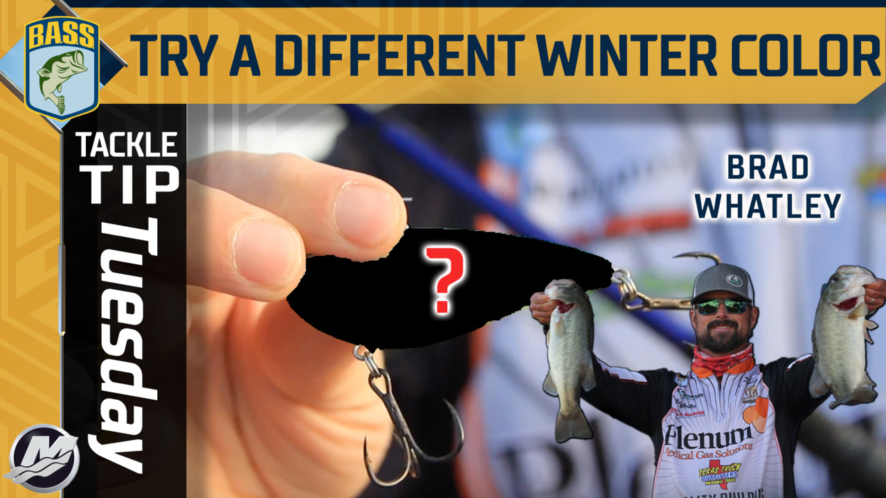 Tackle Tip Tuesday: Whatley's winter color