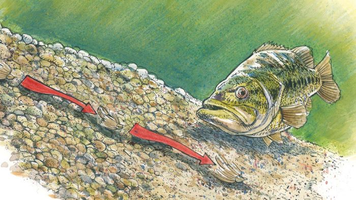 Targeting transition zones for winter bass