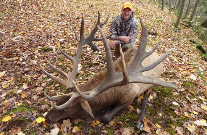 Five Bull Elk and One Giant Old Buck Make the Pennsylvania Record Books