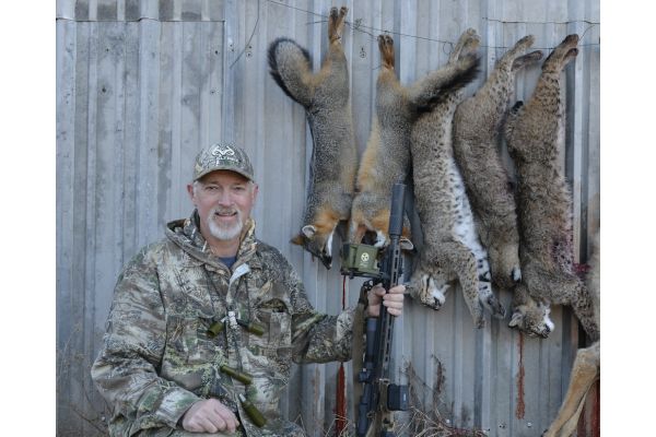 3 Surefire Tips for Calling in More Bobcats