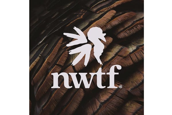 NWTF Board of Directors announces leadership transition ahead of 50th anniversary