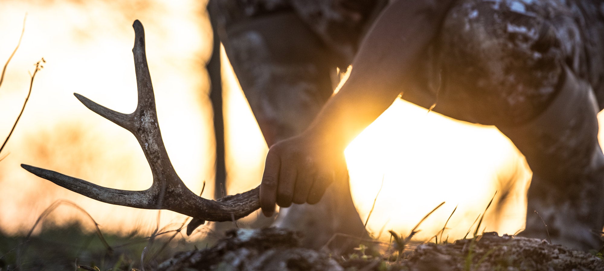 20 Tips for Finding More Shed Antlers