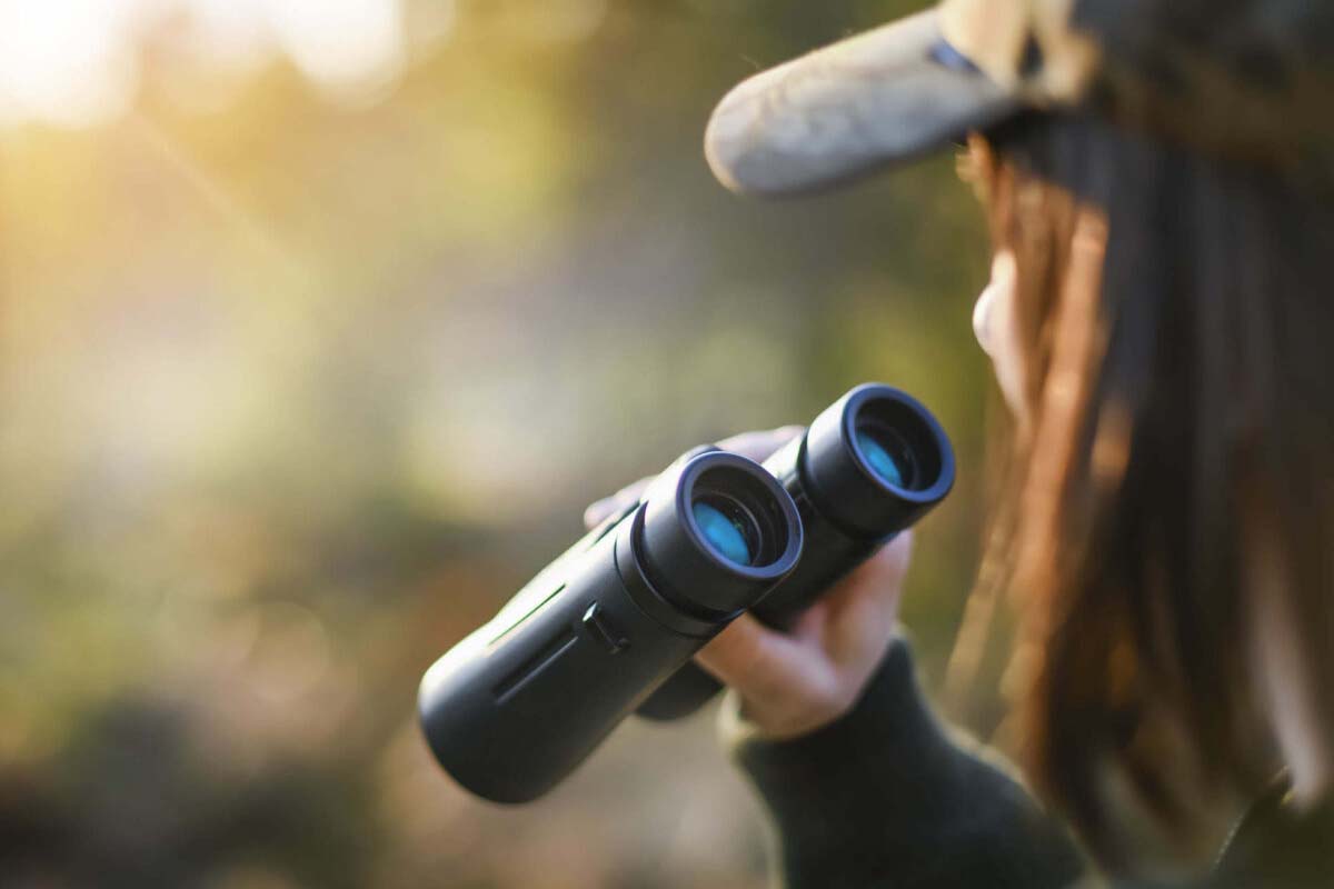 Best Hiking Binoculars & How to Choose The Right Pair – Bearfoot Theory