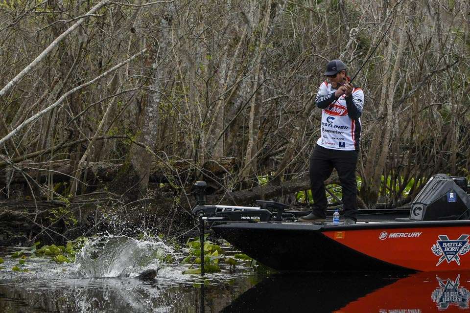 Fantasy Fishing: Rely on techniques, not history