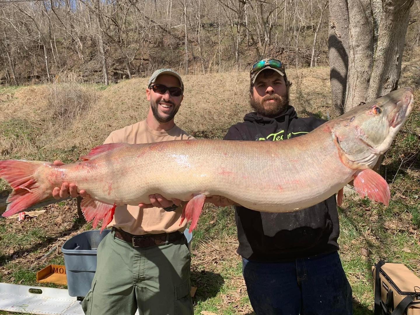 Giant Muskie Shatters West Virginia State Record