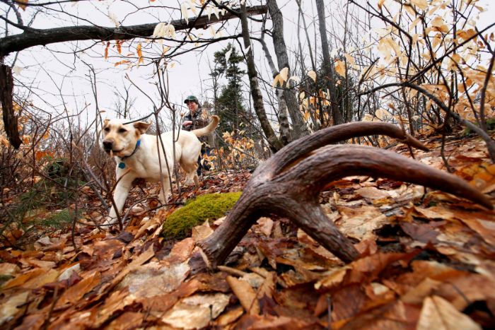 The Top 3 Shed-Hunting Violations