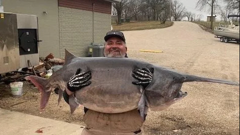 Fisherman Catches New Record Paddlefish in Missouri