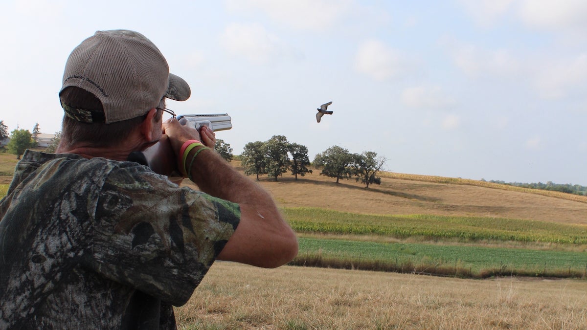 Everything You Want to Know About Pigeon Hunting