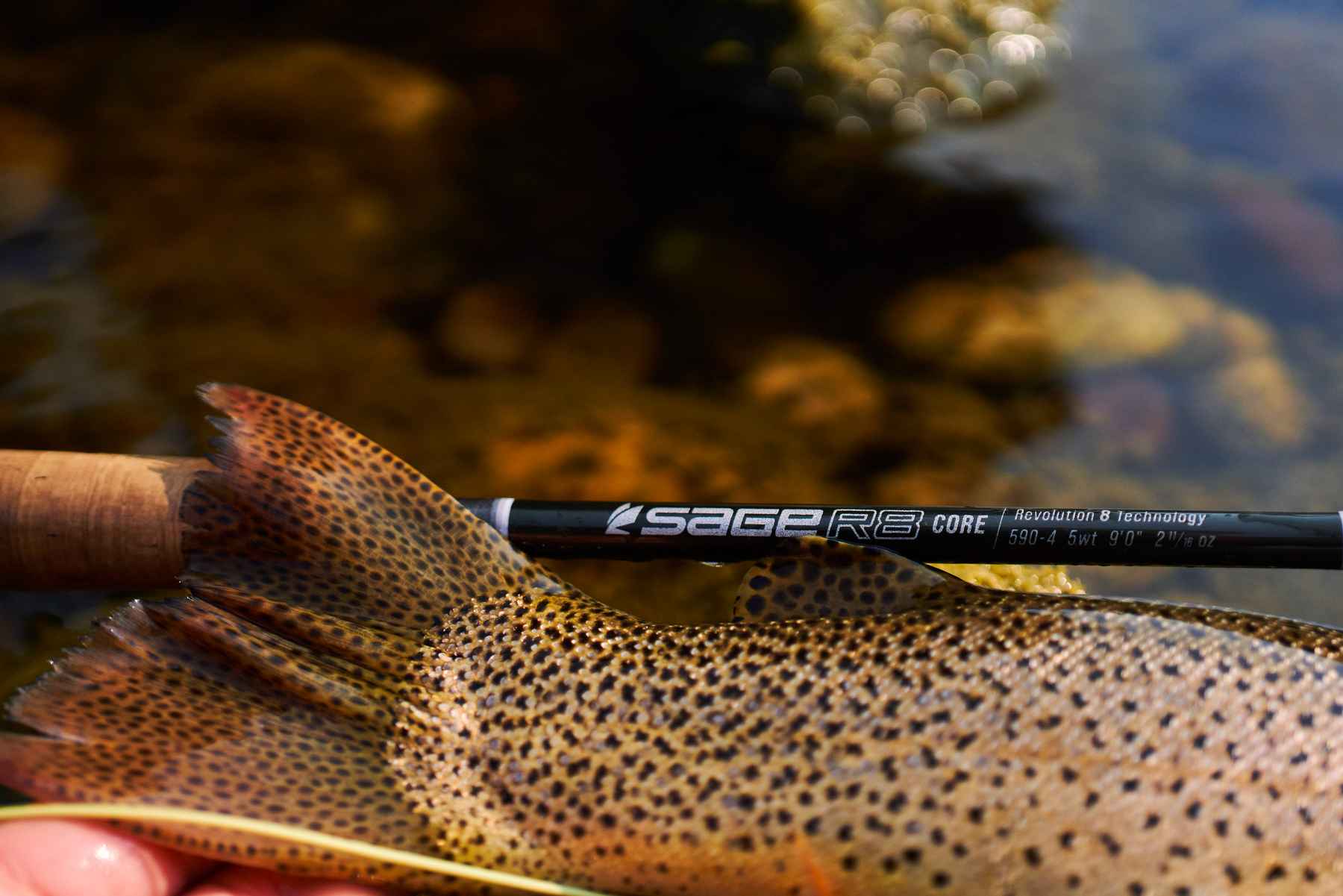 Sage introduces the new R8 CORE fly rod lineup | Hatch Magazine