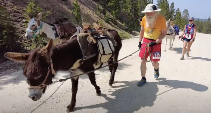 Pack Burro Racing, the State Sport of Colorado, Still Going Strong