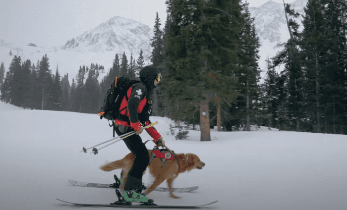 A Ski Patroller and His Dog
