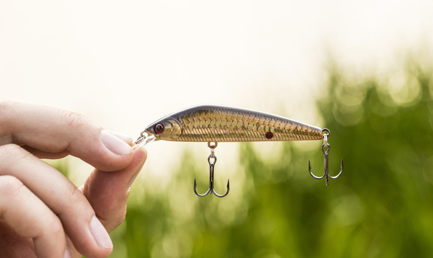 The Top 5 Baits for Bass Fishing (Artificial)