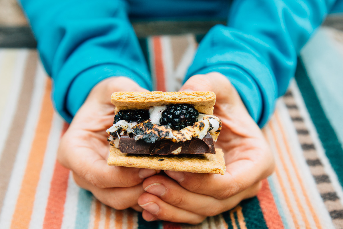 How About Making These Hazelnut Dark Chocolate Marionberry S’mores?