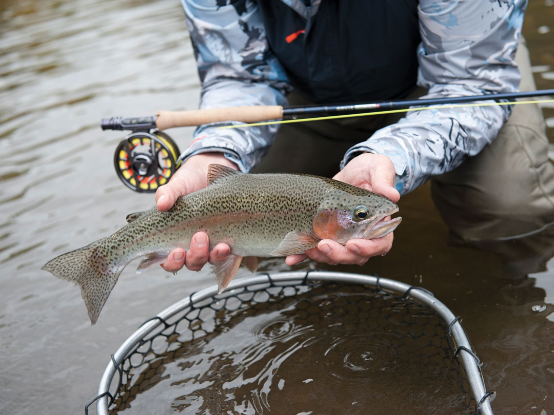 Guide Tactics for Tough Trout: Nymphing
