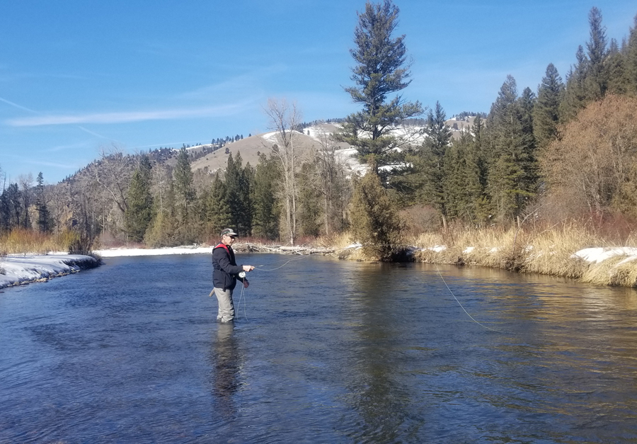 Top 5 Flies for Spring in Western Montana