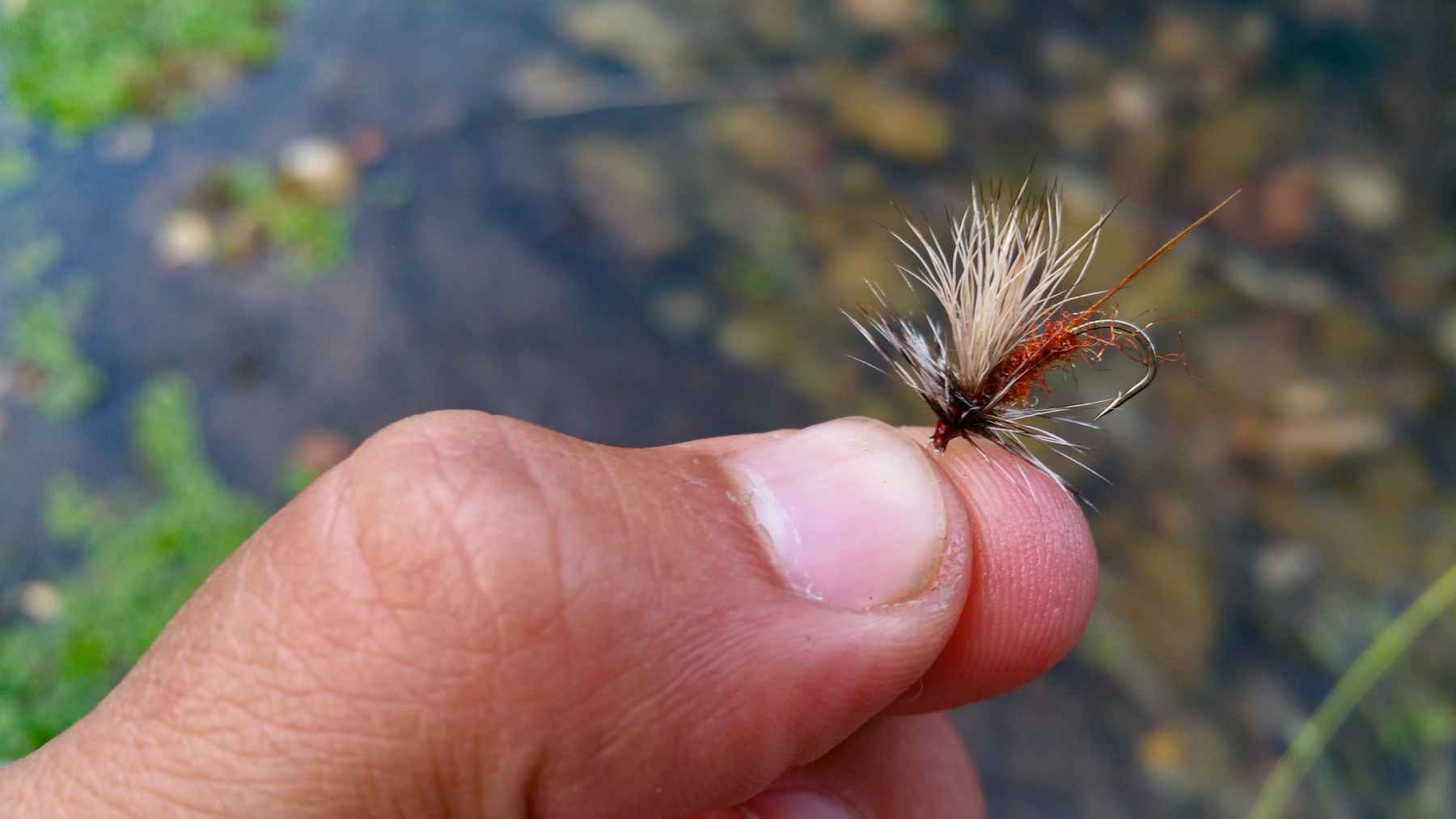 How to make your own killer fly | Hatch Magazine