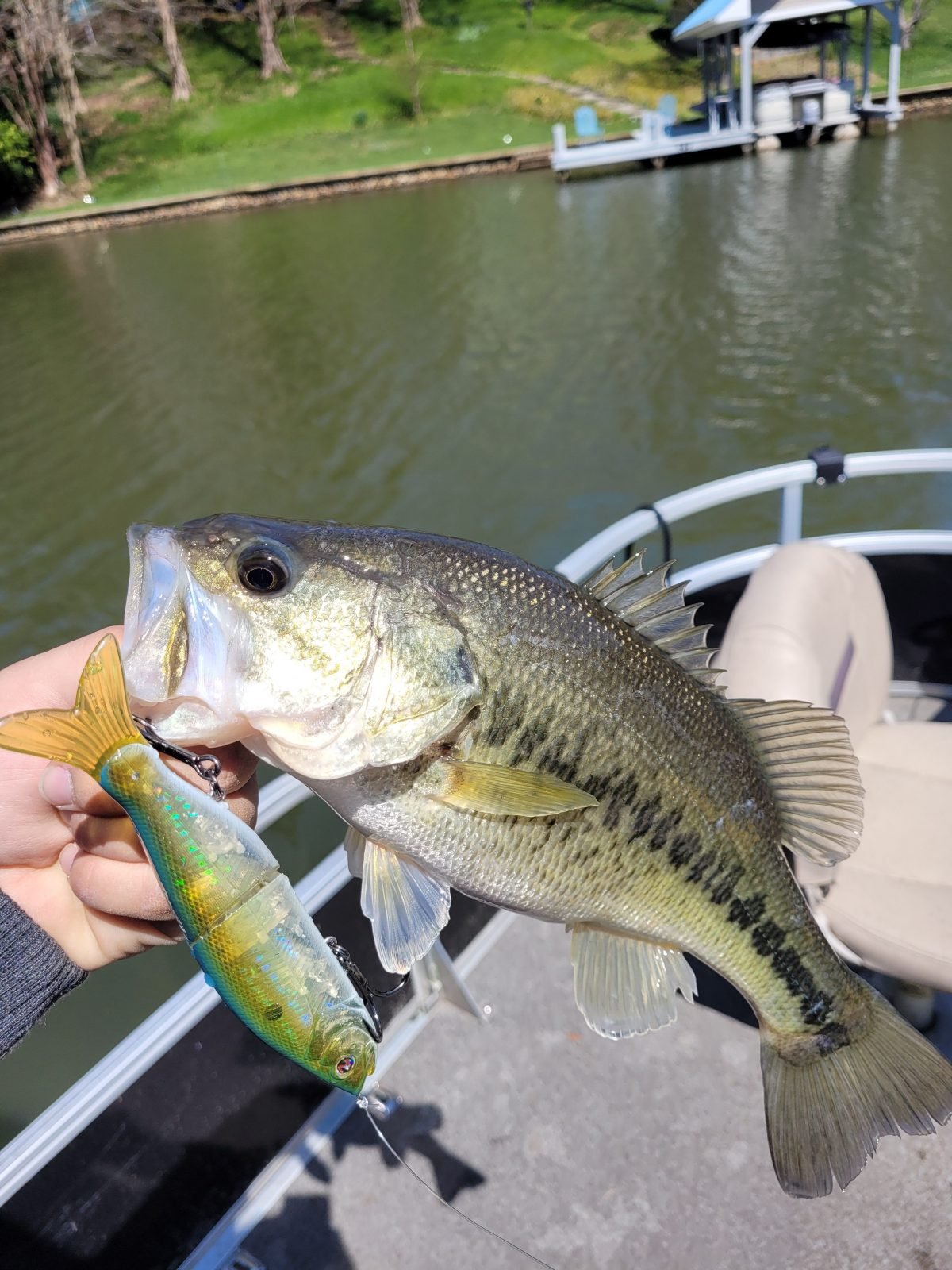 Tying on Big Baits to Land Big Bass in the Spring Time