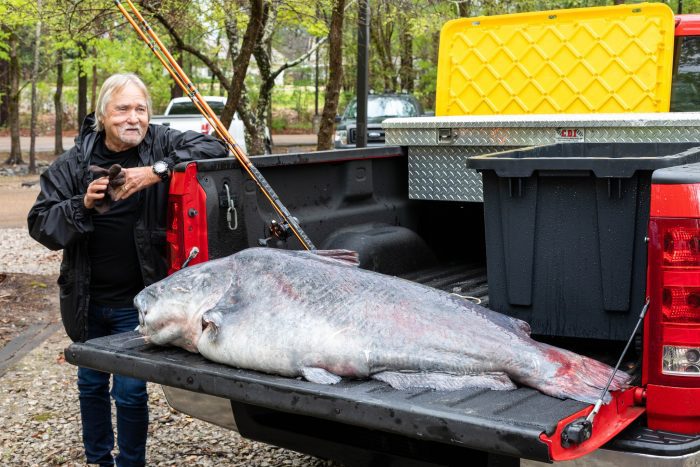 Blue Catfish State Record Broken in Mississippi