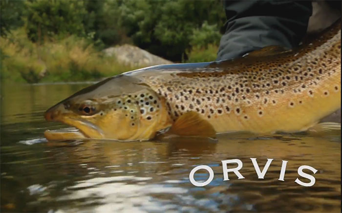 Master-Class Monday: Dry-Dopper Accuracy – Orvis News