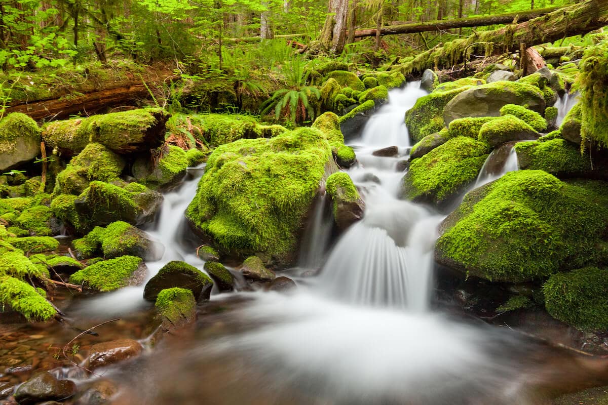 6 Best Waterfall Hikes in Washington – Bearfoot Theory