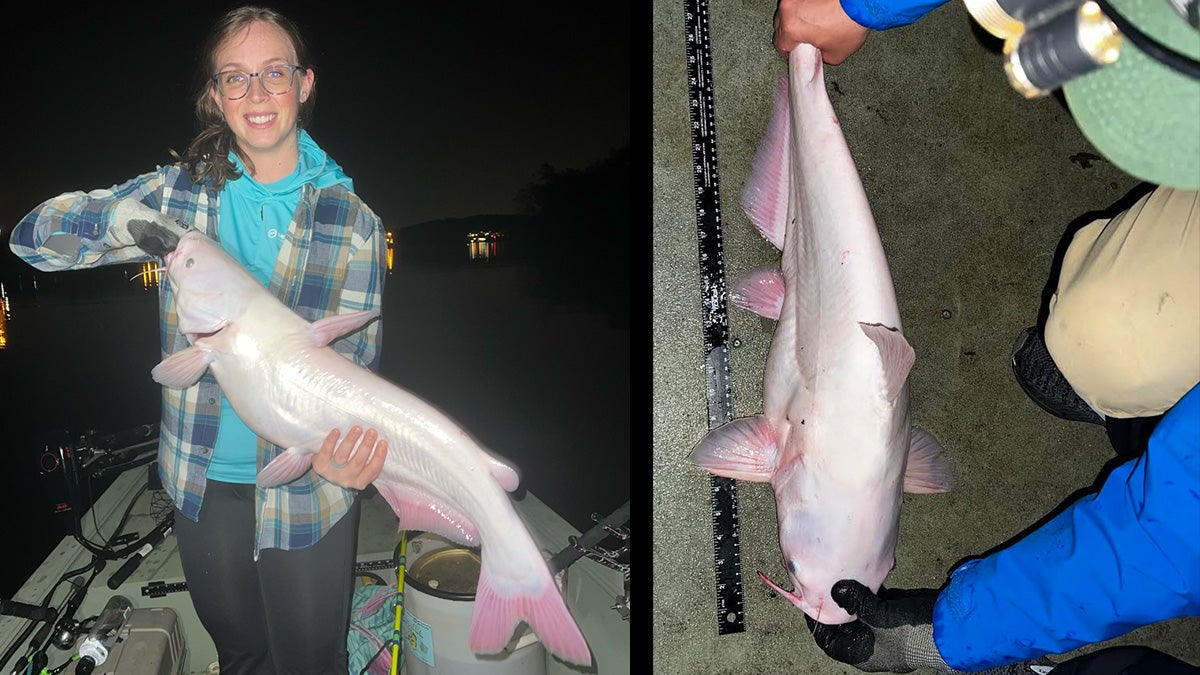 Tennessee Woman Catches Albino Blue Catfish