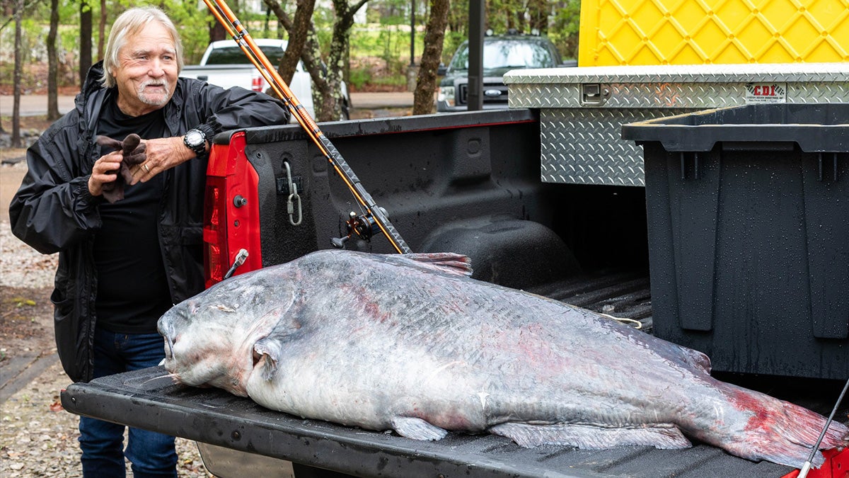 Angler Shatters Mississippi Blue Catfish State Record