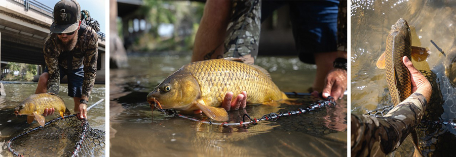 Pro Tips: How to Fish for Carp in Moving Water, Part II￼