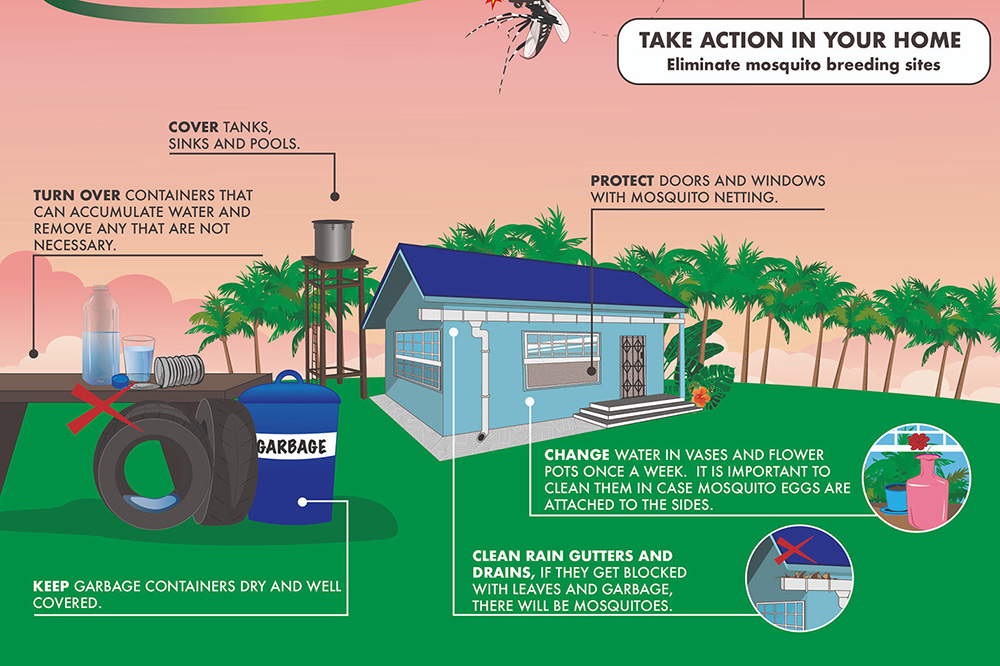 Infographic: “Fight the Bite” & Deter Mosquito Breeding