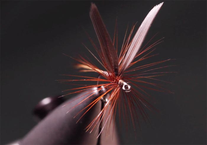 Video: How to Tie a Catskill-Style Ginger Quill