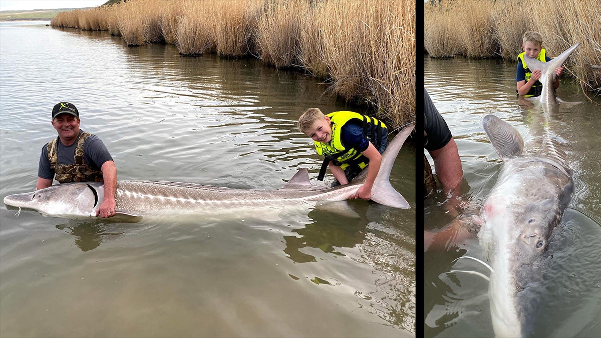 Young Angler Catches Massive 9-Foot White Sturgeon
