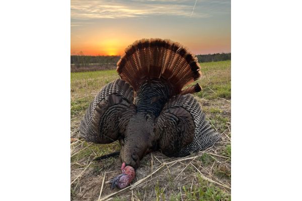 Turkey Hunting Seasons Are Here!