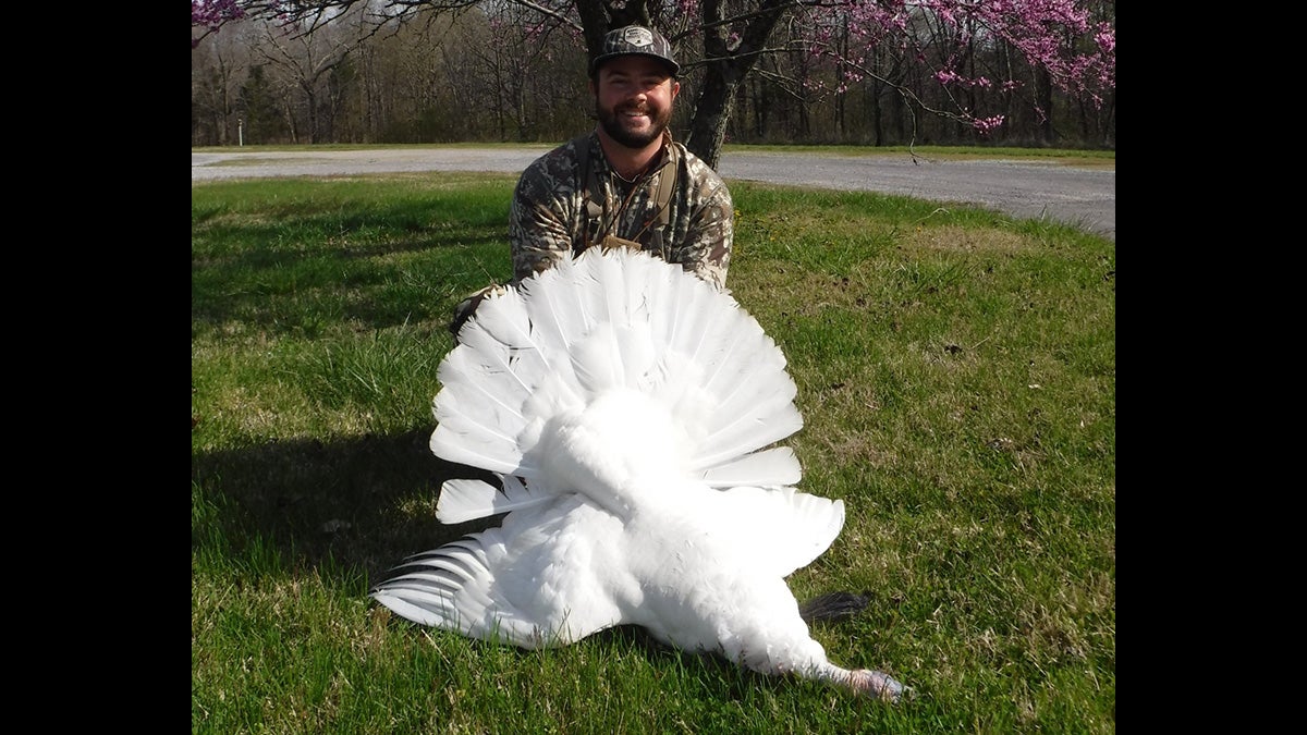 All-White Leucistic Wild Turkey Killed in Western Kentucky