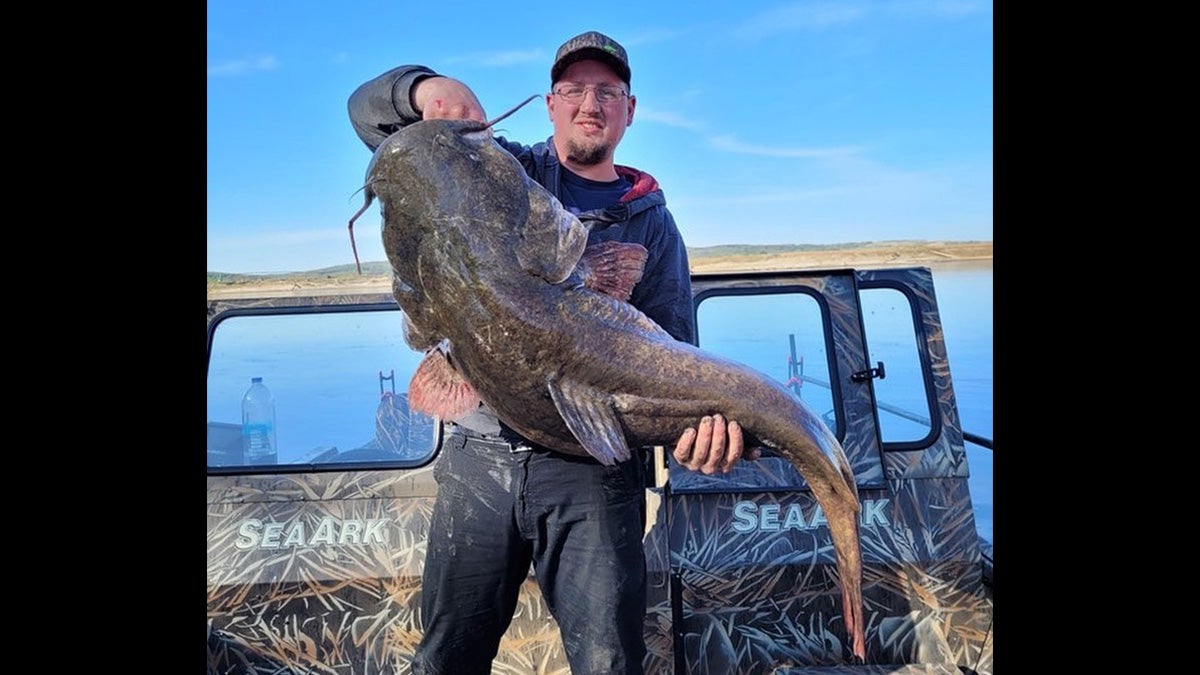 South Dakota Confirms State Record Flathead Catfish