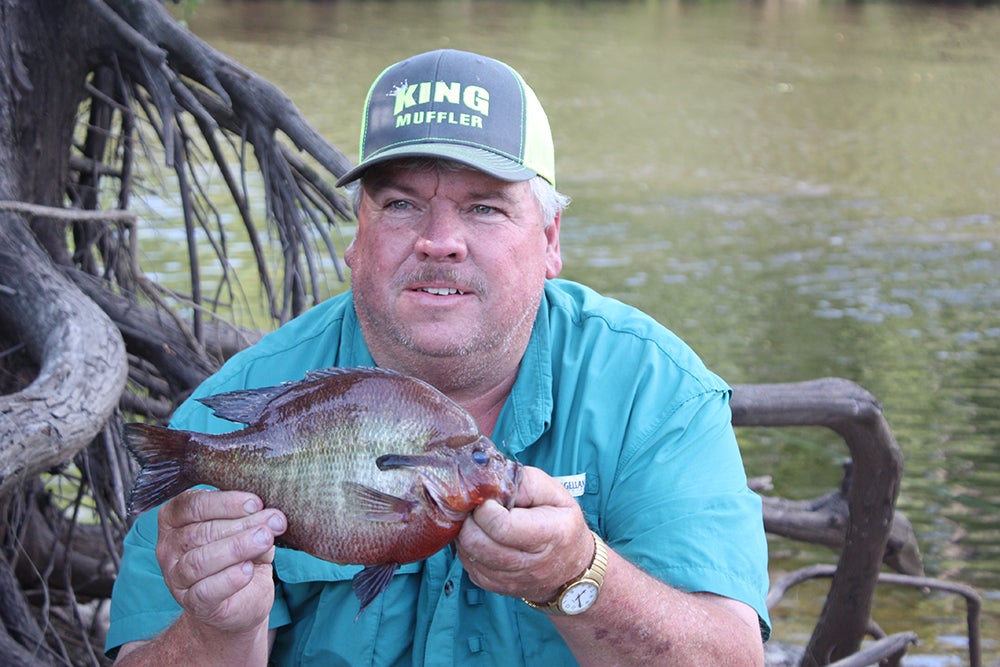 Man Catches Georgia Record Redbreast Sunfish
