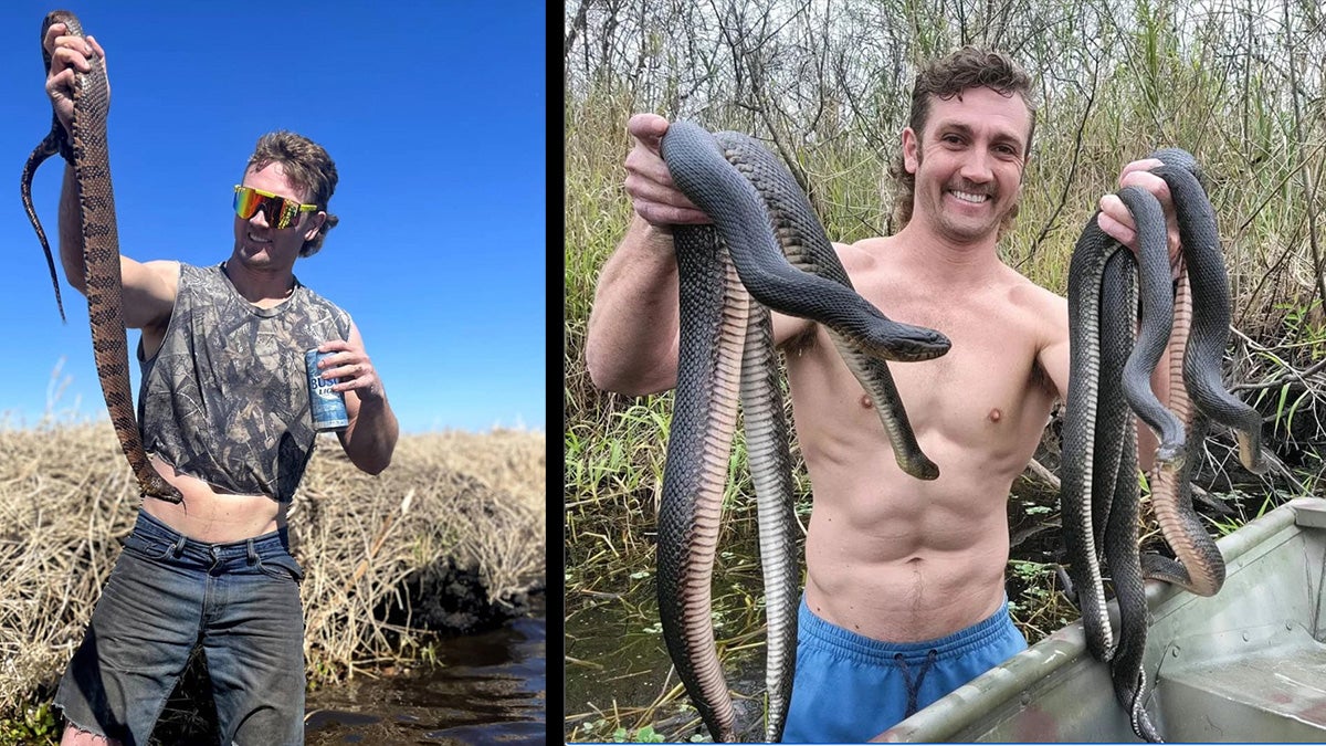 Alex Robertson is Becoming Florida’s Most Popular Snake Hunter