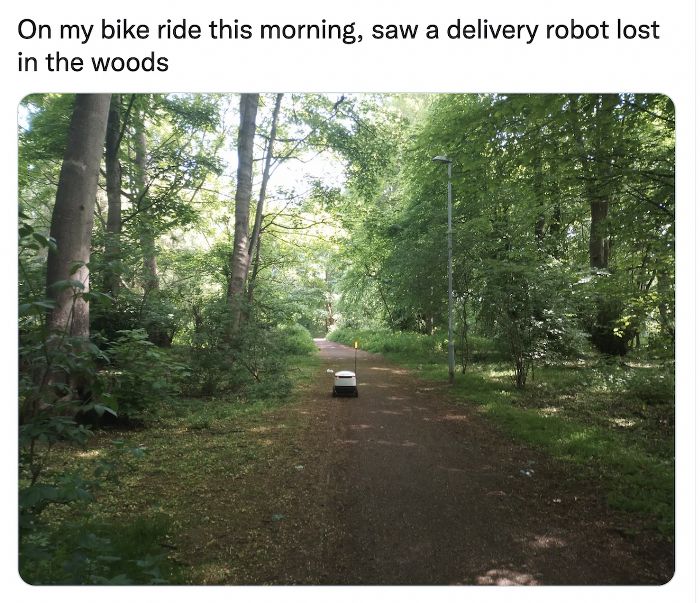 Delivery Robot Lost in Woods