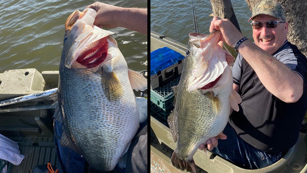 California Angler Catches 16.75-Pound Largemouth Bass