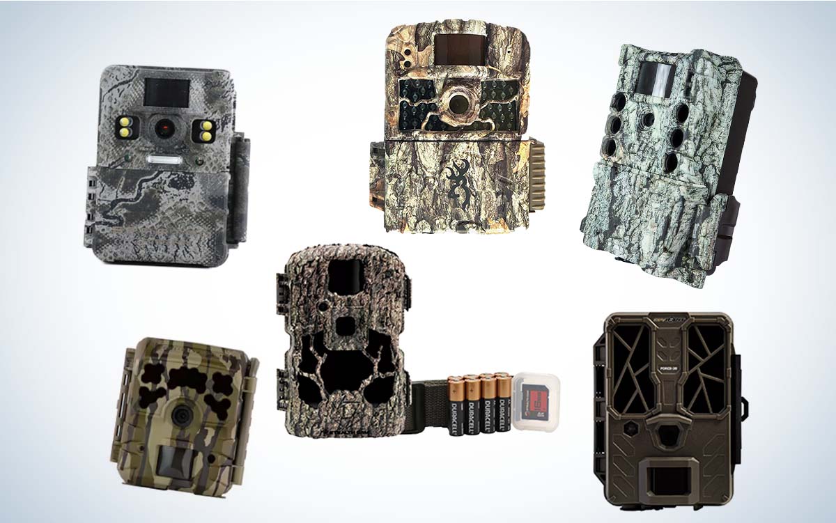 Best Budget Trail Cameras of 2022