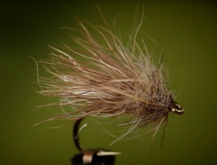 Video: How to Tie the Caribou Caddis
