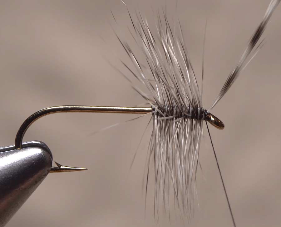 Video: How to Create a Perfect Hackle Collar